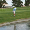 Golf Safari