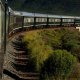 Outeniqua